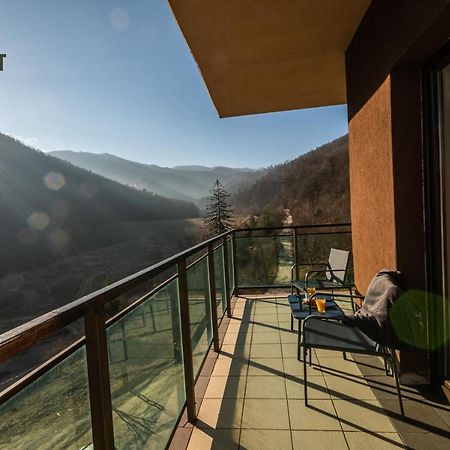 Forest Breeze Apartterrace Braşov Exteriör bild
