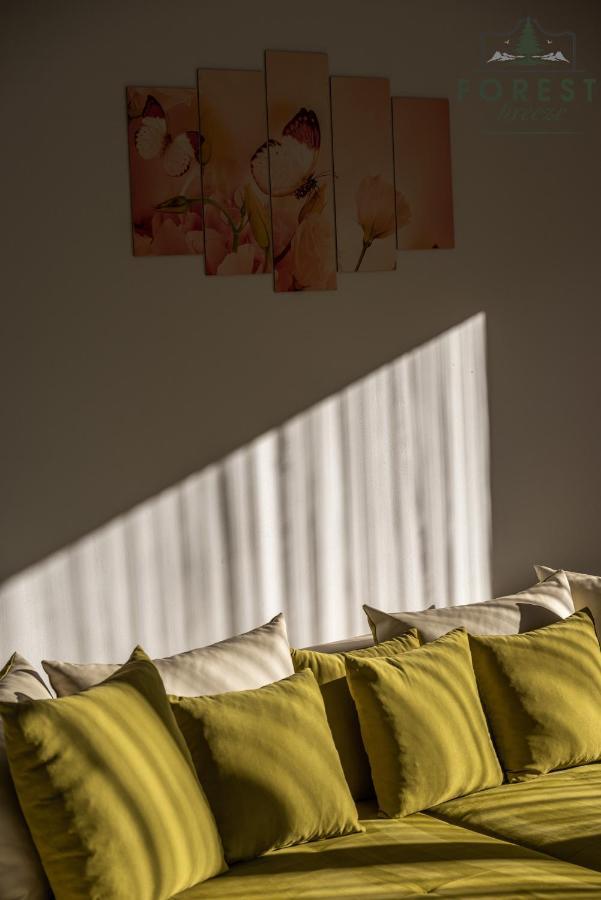 Forest Breeze Apartterrace Braşov Exteriör bild