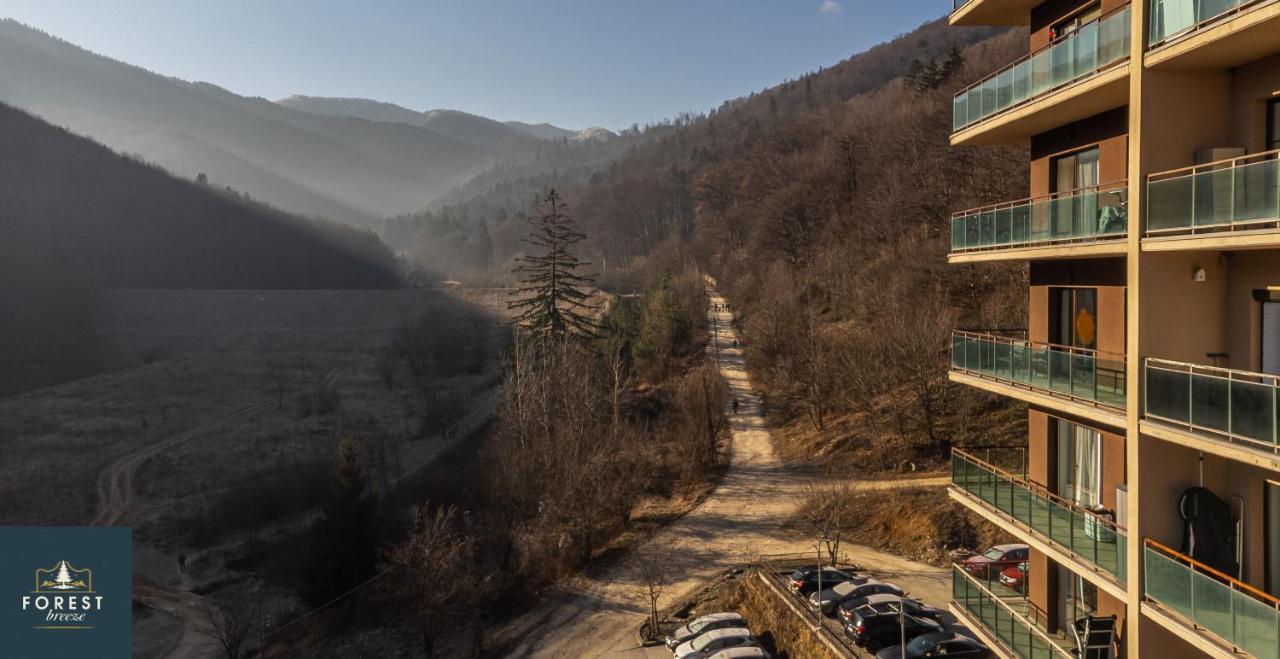 Forest Breeze Apartterrace Braşov Exteriör bild