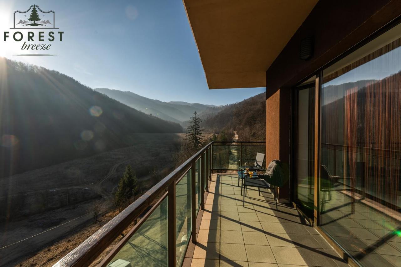 Forest Breeze Apartterrace Braşov Exteriör bild