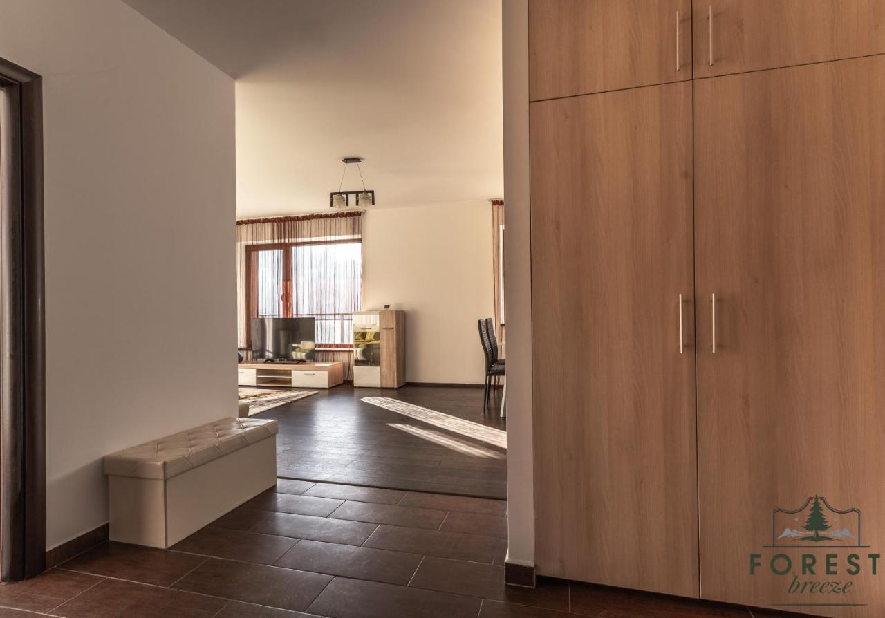 Forest Breeze Apartterrace Braşov Exteriör bild