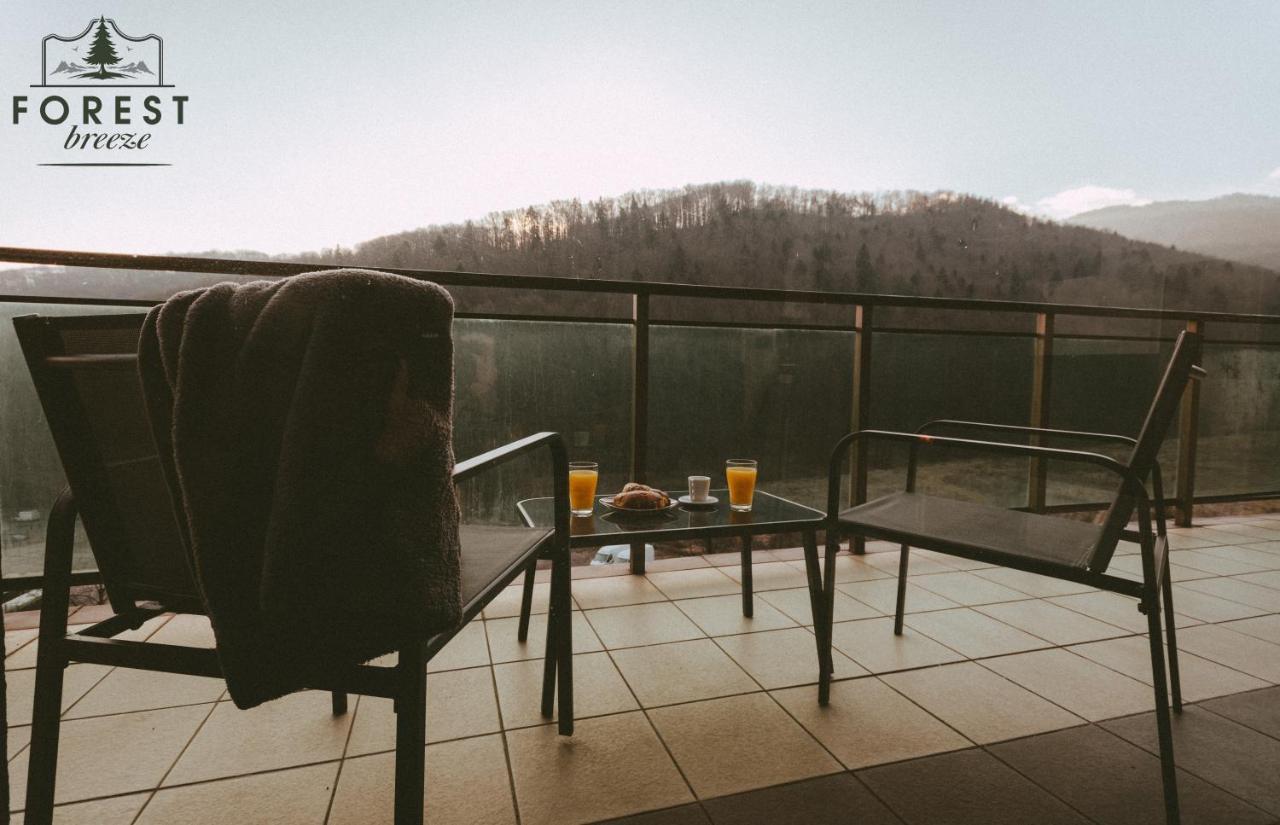 Forest Breeze Apartterrace Braşov Exteriör bild