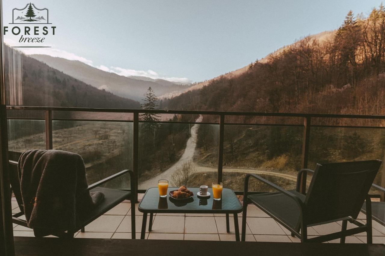 Forest Breeze Apartterrace Braşov Exteriör bild