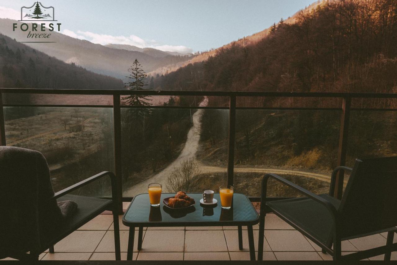 Forest Breeze Apartterrace Braşov Exteriör bild