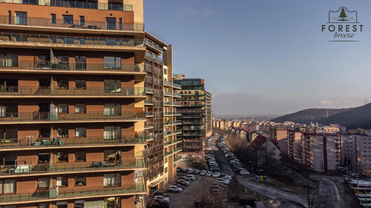 Forest Breeze Apartterrace Braşov Exteriör bild