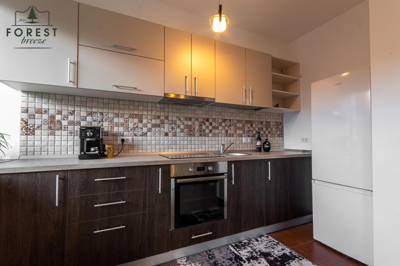 Forest Breeze Apartterrace Braşov Exteriör bild