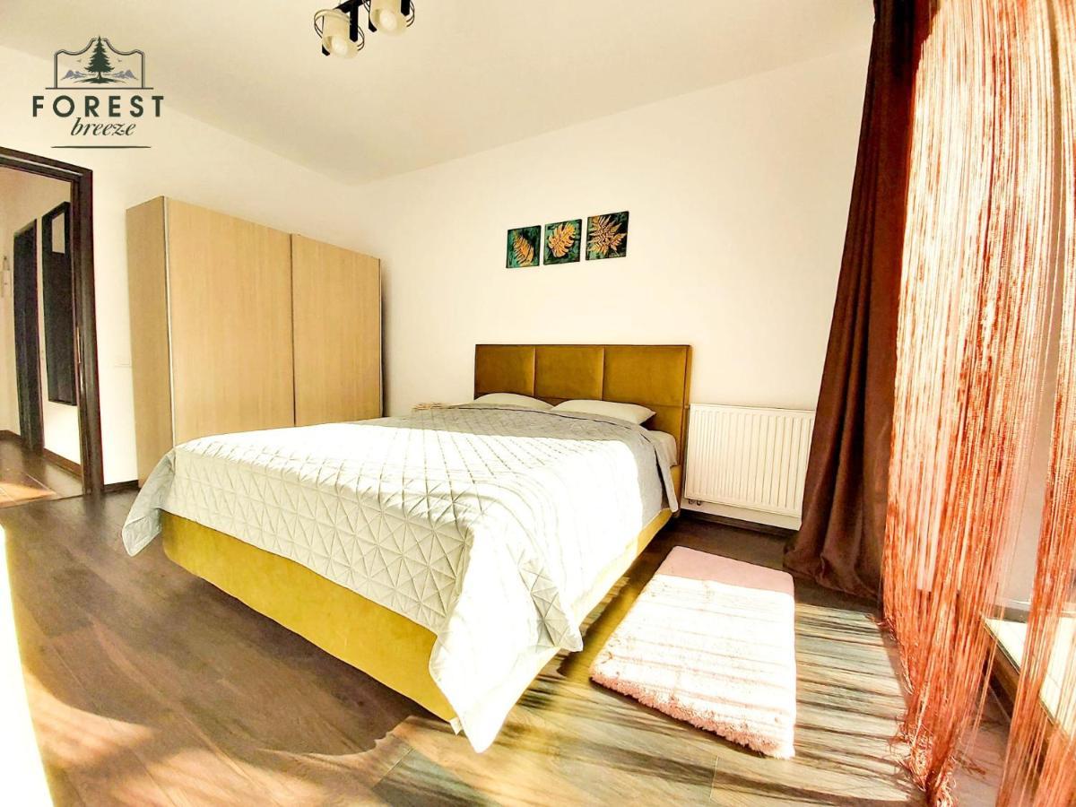 Forest Breeze Apartterrace Braşov Exteriör bild