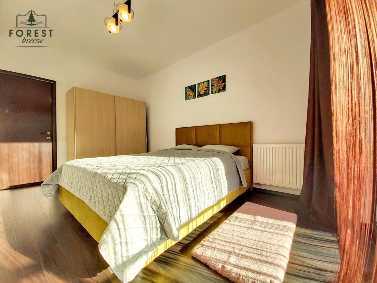 Forest Breeze Apartterrace Braşov Exteriör bild