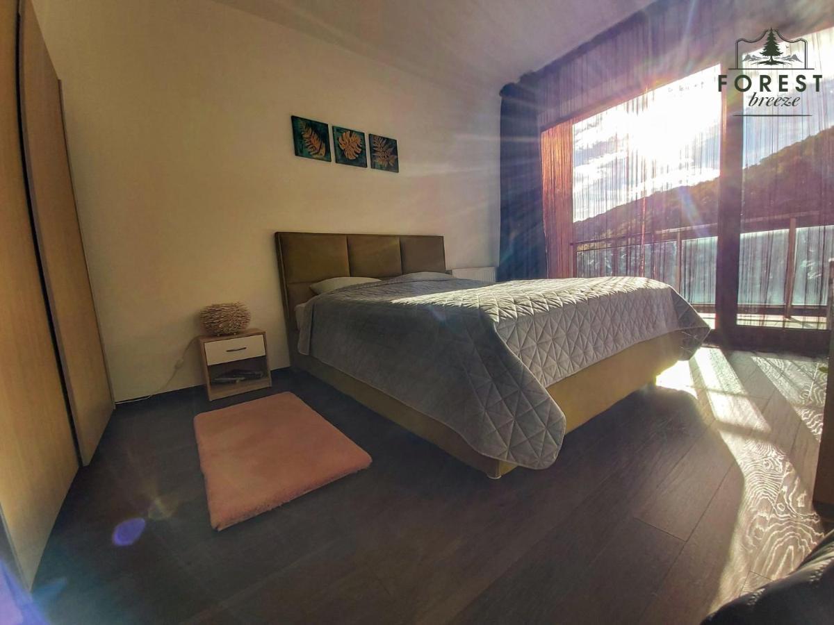 Forest Breeze Apartterrace Braşov Exteriör bild