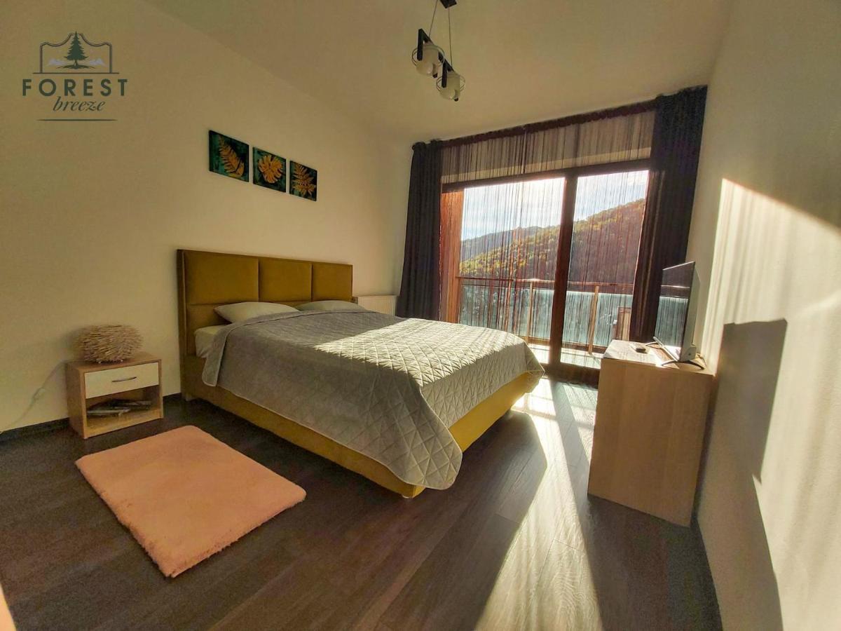 Forest Breeze Apartterrace Braşov Exteriör bild
