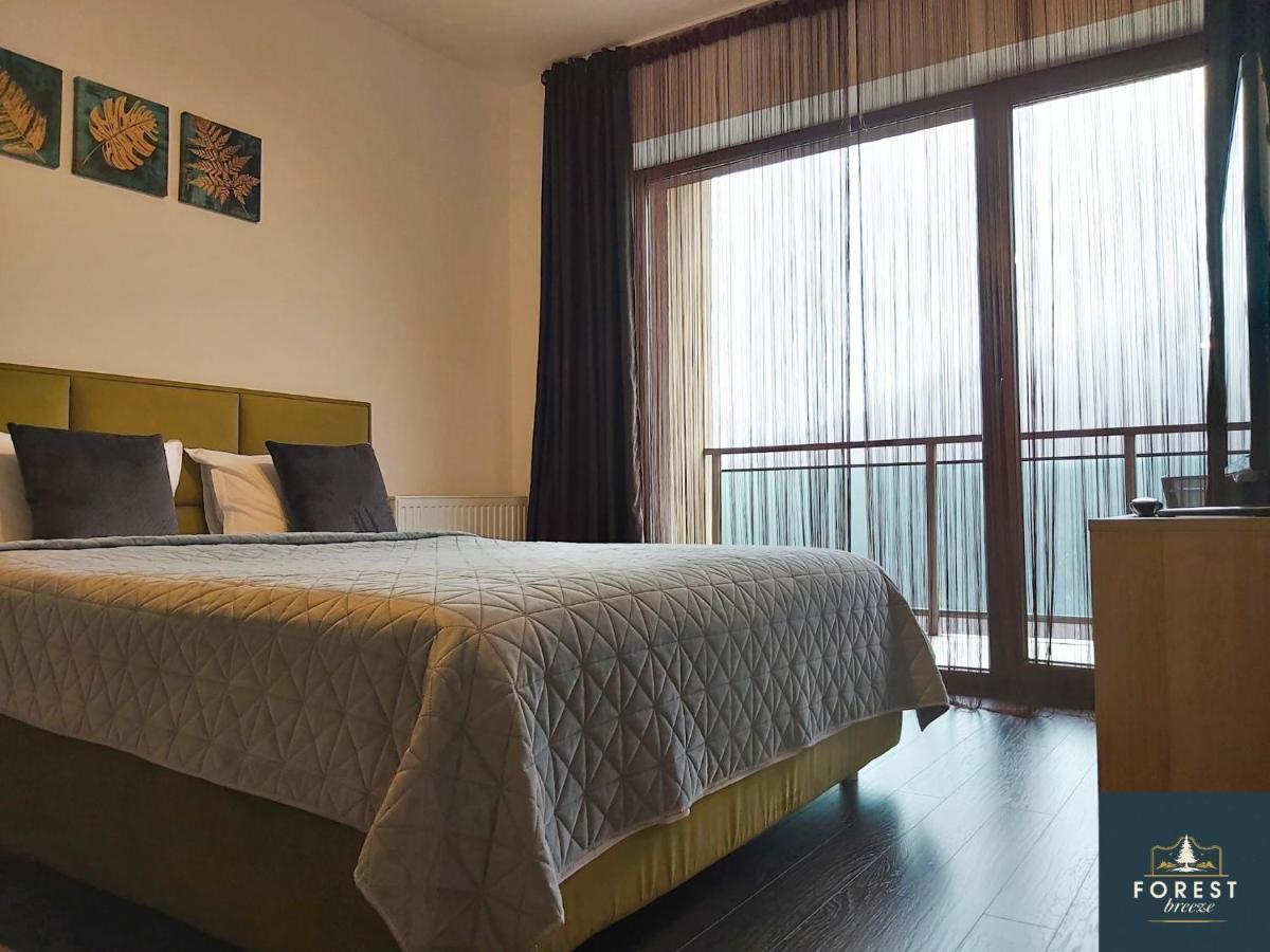 Forest Breeze Apartterrace Braşov Exteriör bild